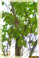 ポストカード・第2ルート7