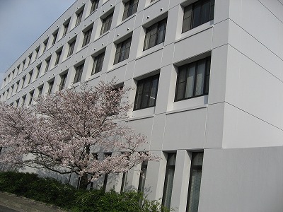 ツマガリザクラ