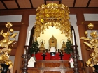 DSC01242.JPG