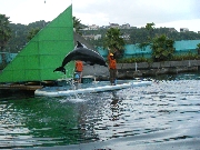 DSCF2193.JPG