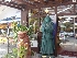 藍の天草村