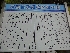 DSC02779.JPG
