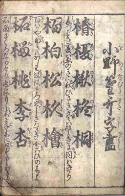 yoneya5.JPG