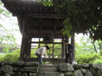 field26.jpg